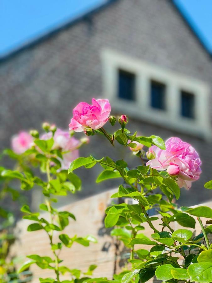 A Little Peace And Quiet Bed & Breakfast Wahlwiller Exterior photo